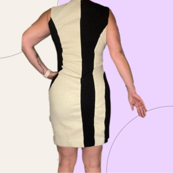 Taylor Sleeveless Black & White Colorblock Sheath Midi Dress | Size 8 - Picture 2 of 2